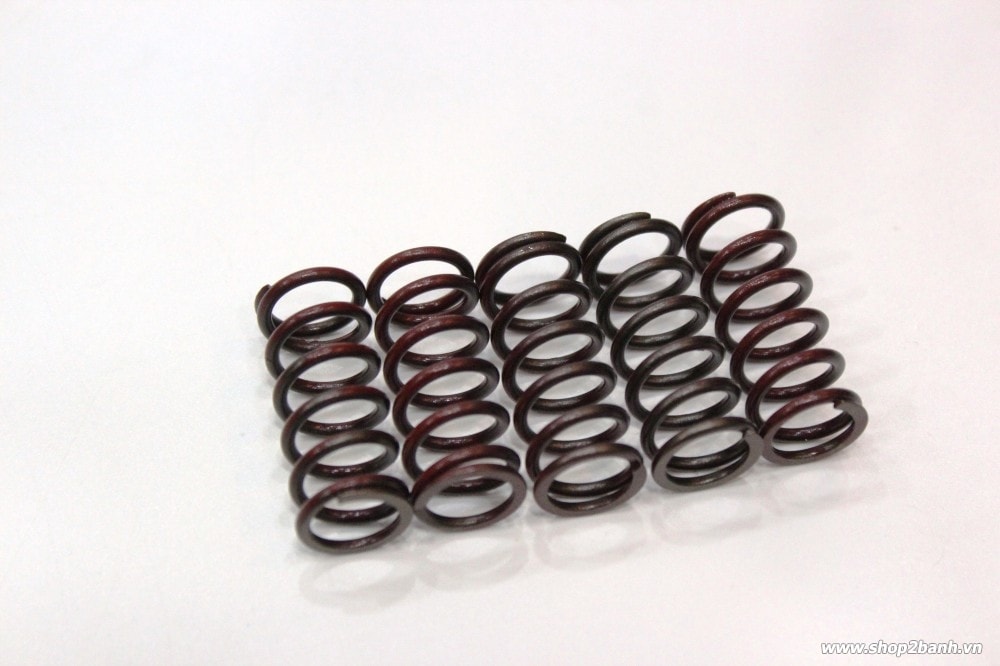 Bộ lò xo nồi daytona fxr 150 fx125 raider 150 satria f 150 belang 150 - 2