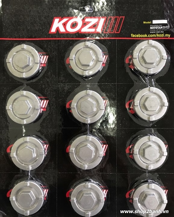 Ốc nhớt nam châm kozi cho exciter 135 exciter 150 winner wavedream - 1