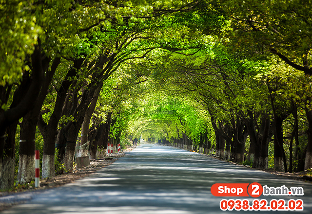 Những nguyên tắc an toàn khi đi xe máy ngày nắng nóng đỉnh điểm - 5