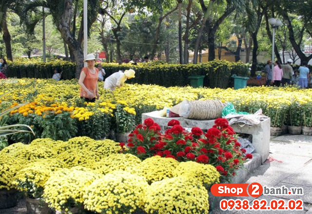 Các địa điểm đi chơi tết giáp thìn 2024 ở tphcm hot nhất hiện nay - 7