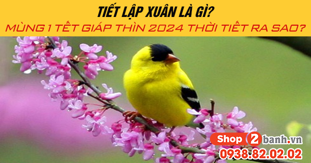 Tiết lập xuân là gì mùng 1 tết giáp thìn 2024 thời tiết ra sao - 1