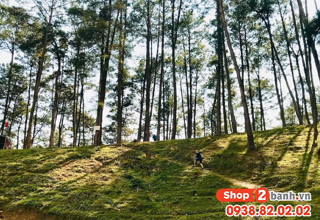 Du lịch hà giang lễ 304 năm 2025 nên đi chơi ở đâu vui nhất - 6