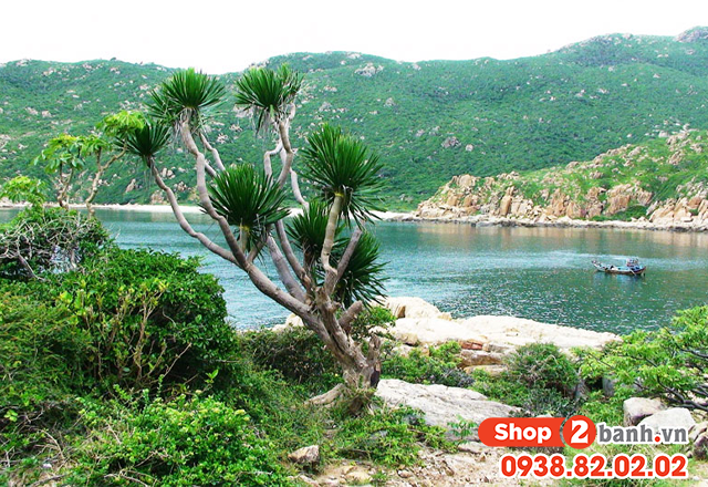 Du lịch ninh thuận lễ 304 năm 2025 nên đi chơi ở đâu vui nhất - 7