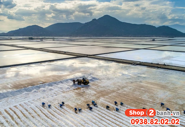 Du lịch ninh thuận lễ 304 năm 2025 nên đi chơi ở đâu vui nhất - 6