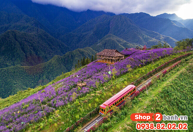 Du lịch sapa lễ 304 năm 2025 nên đi chơi ở đâu vui nhất - 7