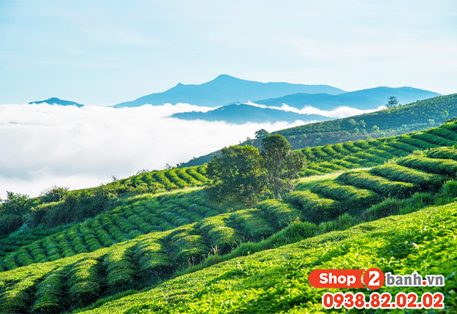 Du lịch bảo lộc lễ 304 năm 2025 nên đi chơi ở đâu vui nhất - 5