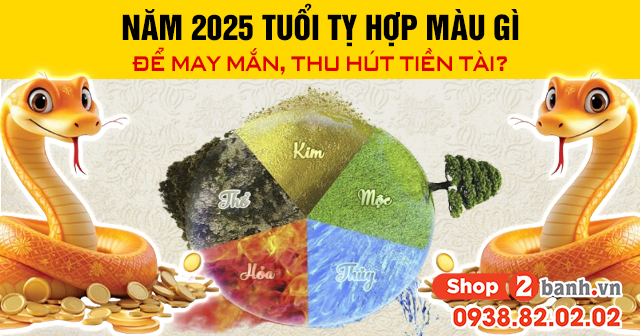 Năm 2025 tuổi tỵ hợp màu gì để may mắn thu hút tiền tài - 1