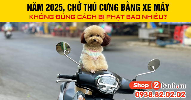 Năm 2025 chở thú cưng bằng xe máy không đúng cách bị phạt bao nhiêu - 1