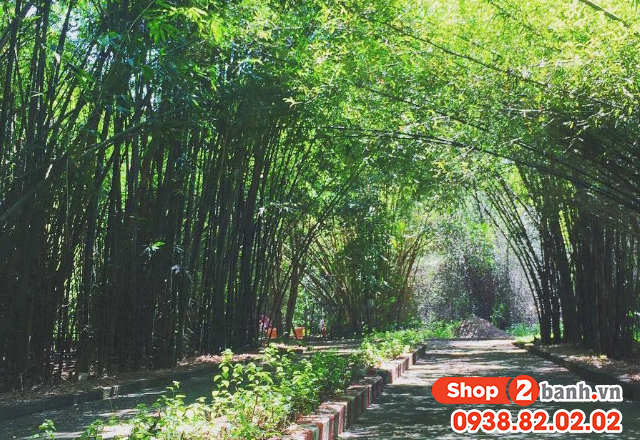 Giỗ tổ hùng vương 2025 đi đâu vui chơi tại bình dương - 4