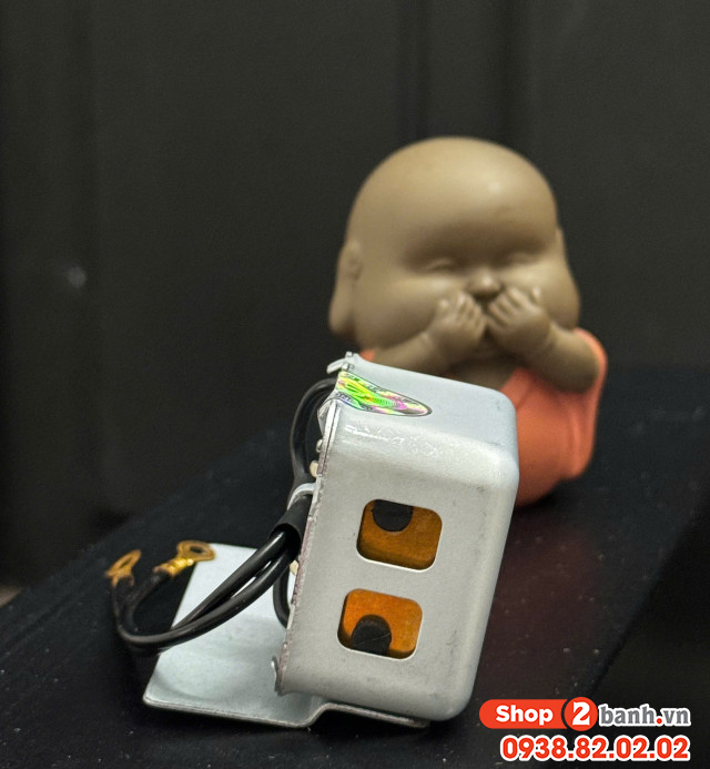 Cục kêu báo xi nhan ting tong - 2