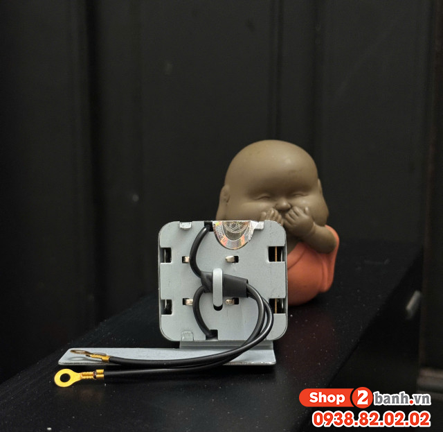 Cục kêu báo xi nhan ting tong - 1