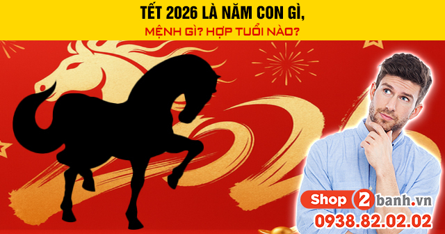Tết 2026 là năm con gì mệnh gì hợp tuổi nào - 1