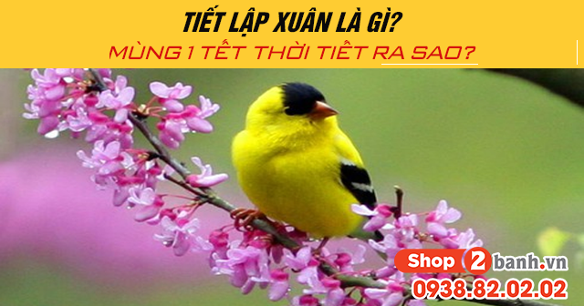 Tiết lập xuân là gì mùng 1 tết âm lịch 2026 thời tiết ra sao - 1