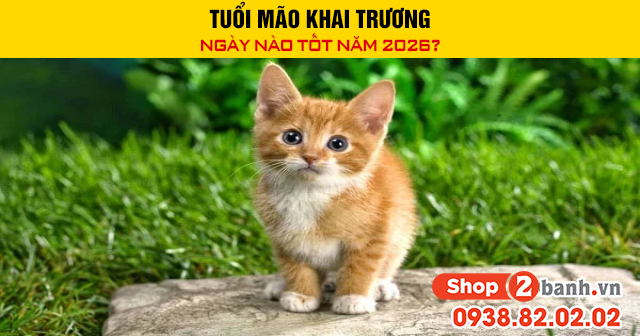Tuổi mão khai trương ngày nào tốt năm 2026 - 1