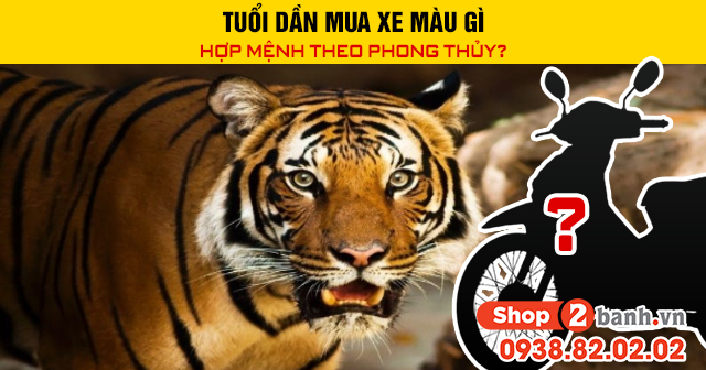 Tuổi dần mua xe màu gì hợp mệnh theo phong thủy - 1
