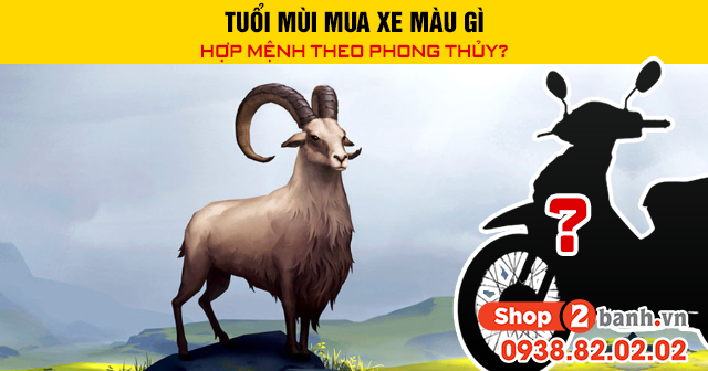 Tuổi mùi mua xe màu gì hợp mệnh theo phong thủy - 1