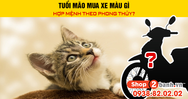 Tuổi mão mua xe màu gì hợp mệnh theo phong thủy - 1