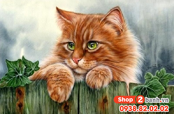 Tuổi mão mua xe màu gì hợp mệnh theo phong thủy - 3