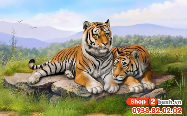 Tuổi dần mua xe màu gì hợp mệnh theo phong thủy - 3