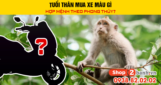 Tuổi thân mua xe màu gì hợp mệnh theo phong thủy - 1