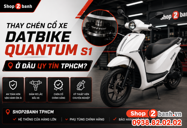 Thay chén cổ xe datbike quantum s1 ở đâu uy tín tphcm giá bao nhiêu - 1
