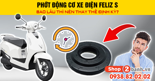 Phớt động cơ xe điện evo grand bao lâu thì nên thay thế định kỳ - 1
