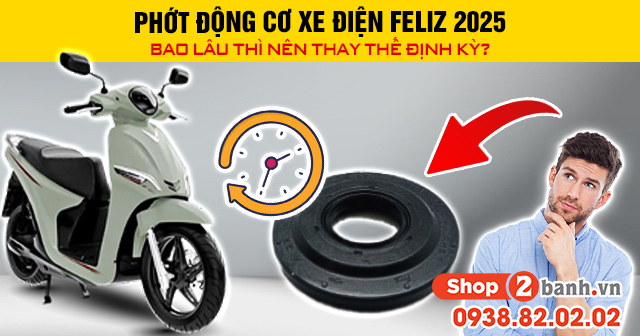 Phớt động cơ xe điện feliz 2025 bao lâu thì nên thay thế định kỳ - 1