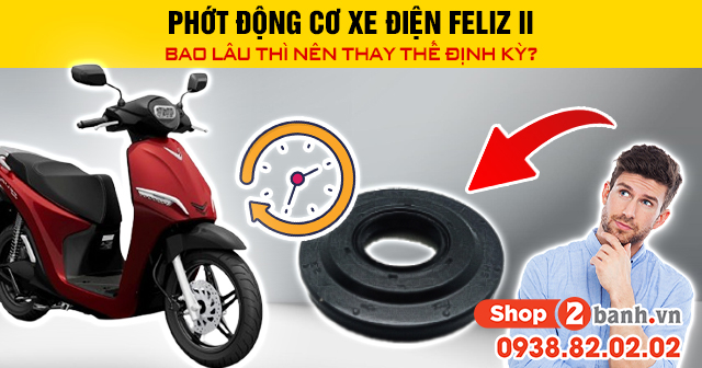Phớt động cơ xe điện feliz ii bao lâu thì nên thay thế định kỳ - 1