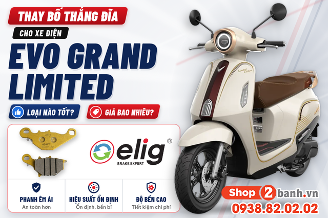 Thay bố thắng đĩa cho xe điện evo grand limited loại nào tốt giá bao nhiêu - 1