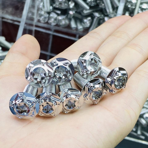 Bộ ốc đĩa Salaya inox cho Vario (4con)