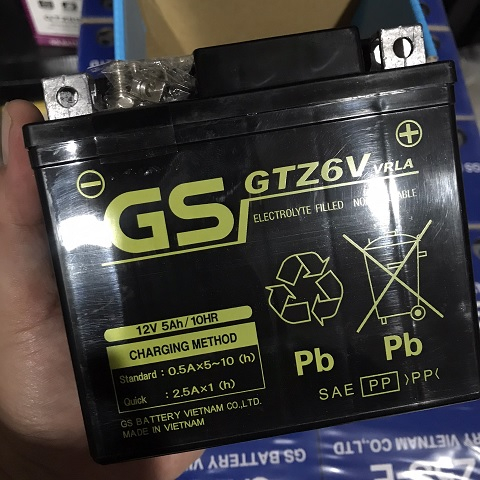 Bình ắc quy GS GTZ6V