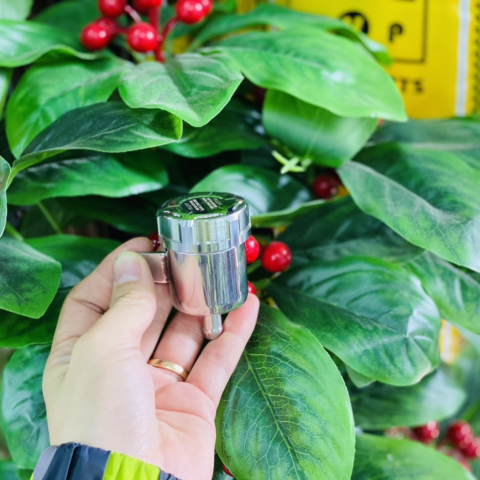 Bình dầu inox Salaya