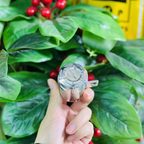 Bình dầu inox Salaya