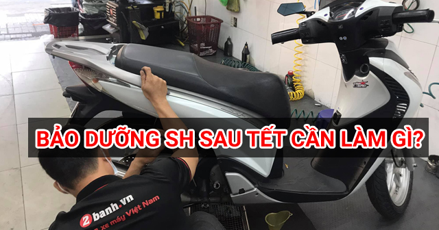 Xe SH có cần bảo dưỡng sau dịp Tết hay không?