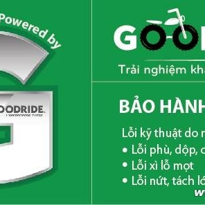 Vỏ xe Goodride H993 110/70-12