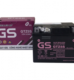 Bình ắc quy GS GTZ5S