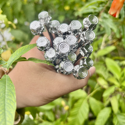 Bộ ốc nồi Salaya inox cho Exciter 135 (5 số)