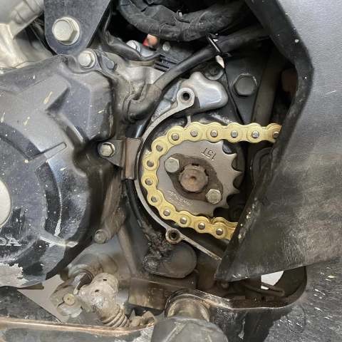 Nhông Recto 15T cho Winner chính hãng