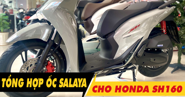 Tổng hợp ốc Salaya inox cho SH160i độ đẹp tại Shop2banh