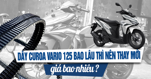 Dây curoa xe Vario 125 bao lâu thì nên thay mới? Giá bao nhiêu?