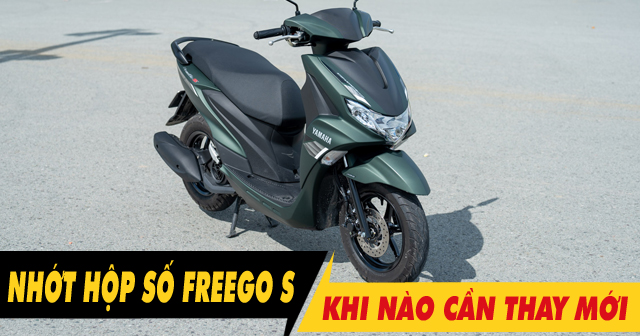 Nhớt láp xe Freego S đi bao lâu thì nên thay mới?