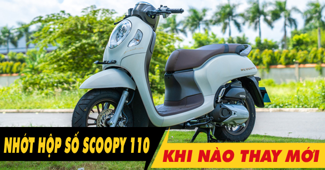 Nhớt láp xe Scoopy 110 đi bao lâu thì nên thay mới?