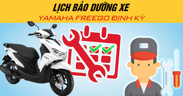 Lịch bảo dưỡng xe Yamaha Freego định kỳ
