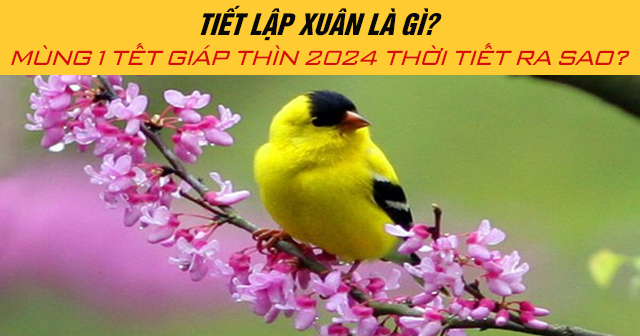 Tiết lập xuân là gì? Mùng 1 Tết Giáp Thìn 2024 thời tiết ra sao?