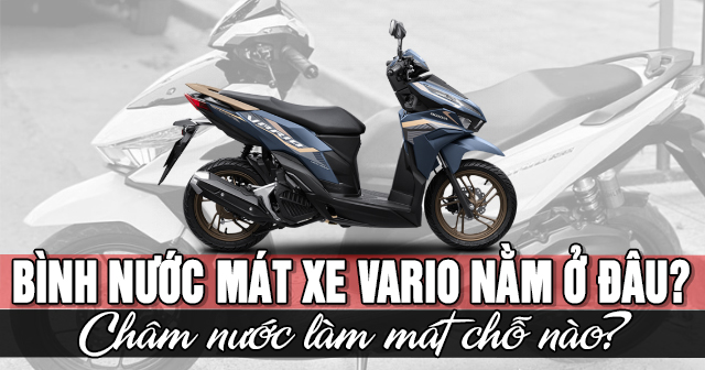 Bình nước mát xe Vario nằm ở đâu? Châm nước làm mát chỗ nào?