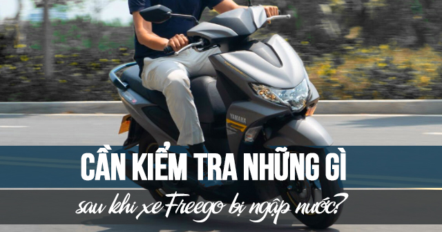 Cần kiểm tra những gì sau khi xe Freego bị ngập nước?