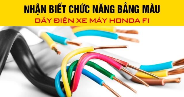 Nhận biết chức năng bảng màu dây điện xe máy Honda FI