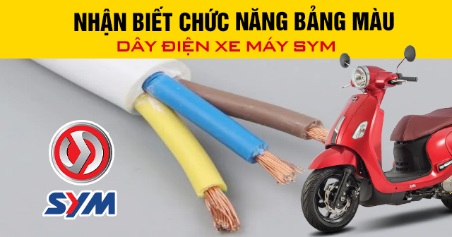 Nhận biết chức năng bảng màu dây điện xe máy SYM