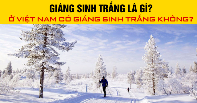 Giáng Sinh trắng là gì? Ở Việt Nam có Giáng Sinh trắng Không?