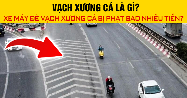 Vạch xương cá là gì? Xe máy đè vạch xương cá bị phạt bao nhiêu tiền?